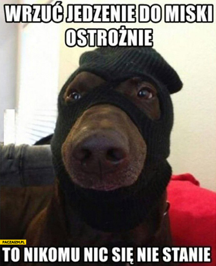 438dc2a0-de7d-413e-8942-697e29835813