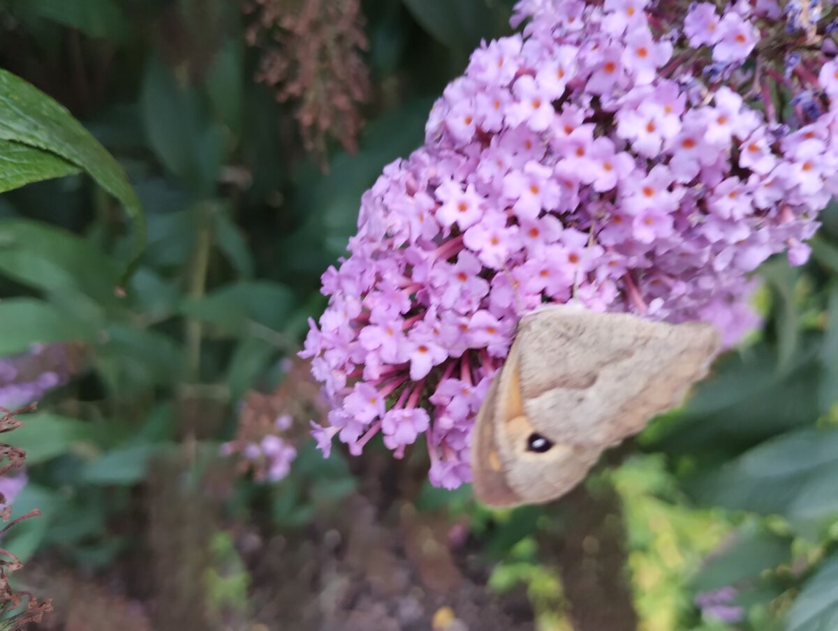 0313315d-2f54-459a-93b7-1818769d3252