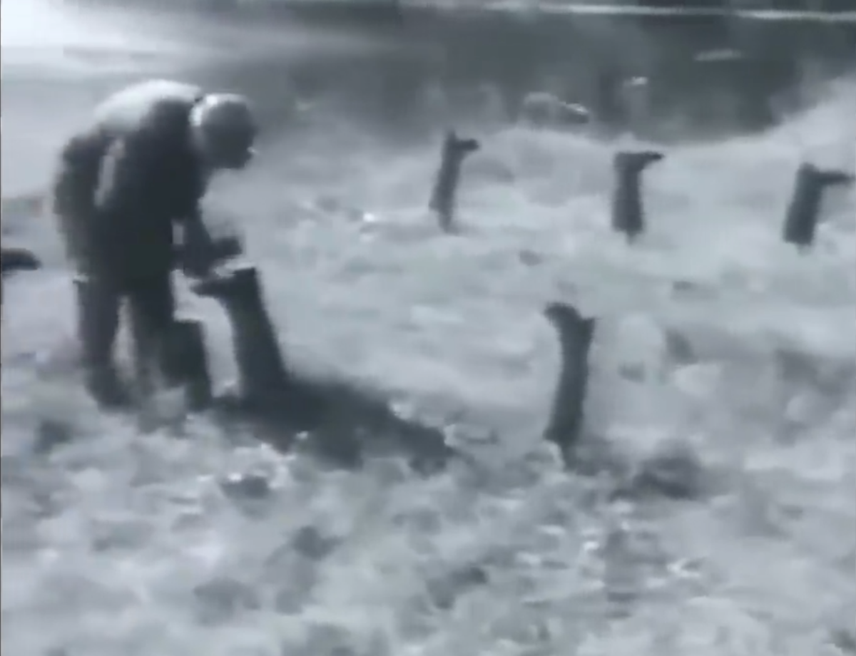 19b0d290-886f-45f1-93c7-f73083337d0c