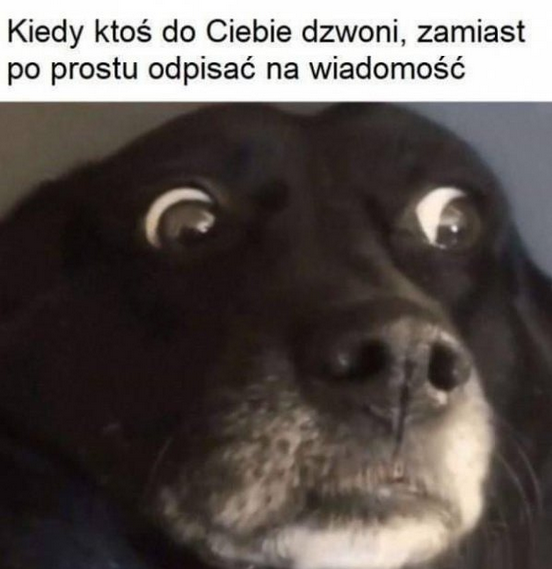 0bb01cb8-7ffa-4438-85fe-da091d31fcf6