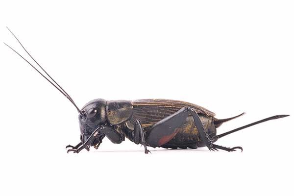 e5ea0f51-89a5-4a63-bbe3-a54cf1bdccb0