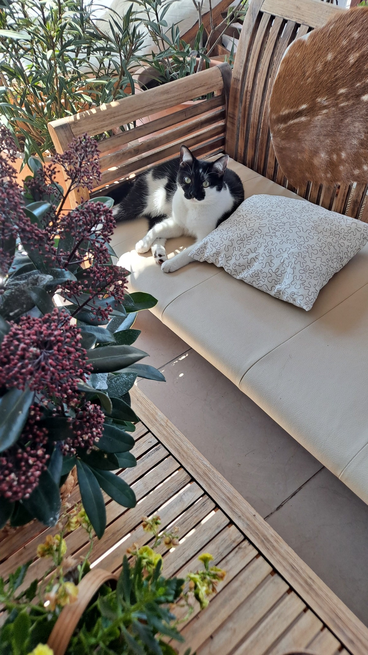 f3b48c42-f033-40ec-bc9a-ff6cbd3eb5c7