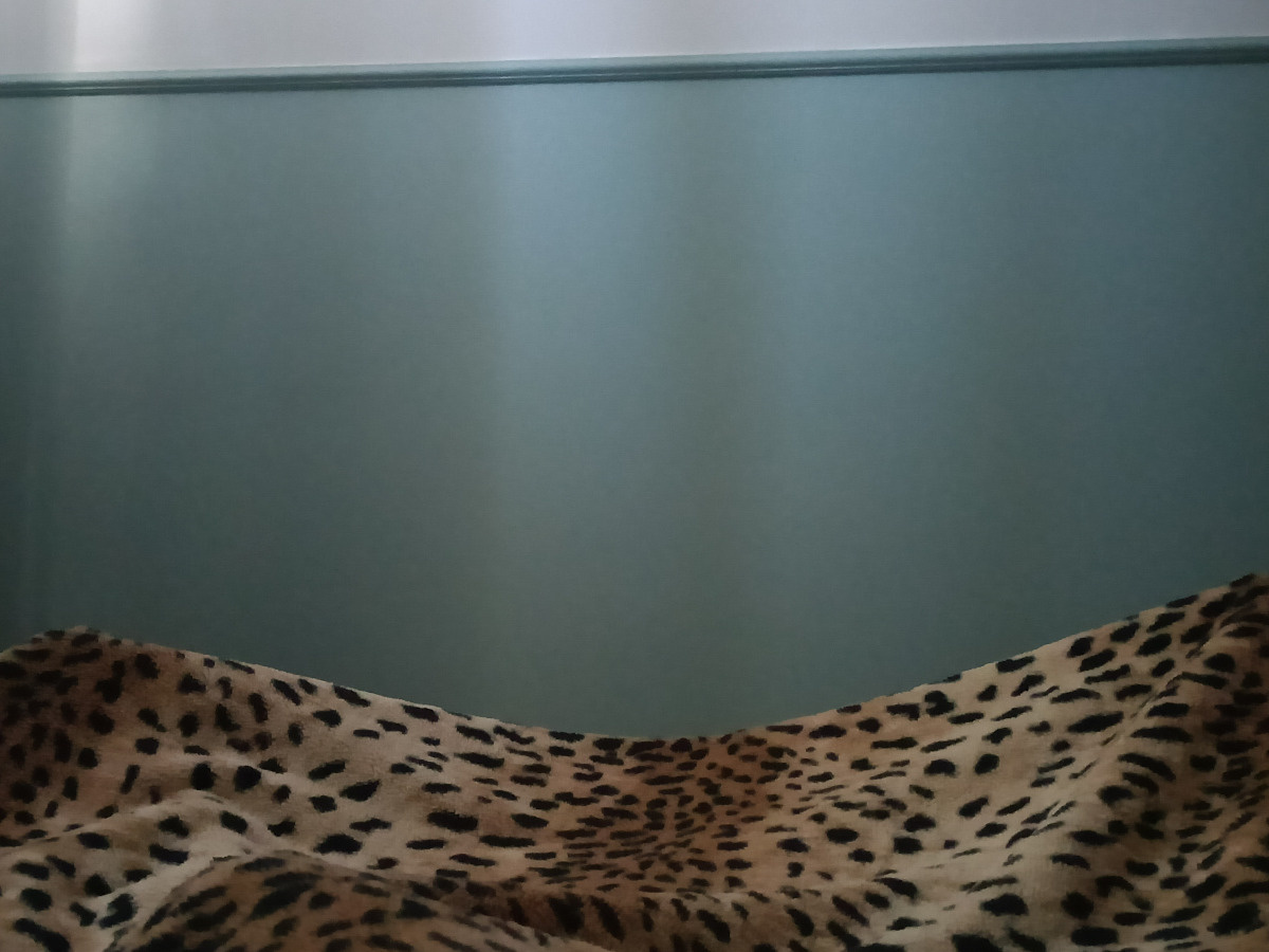 ae434ae2-d2c2-41bf-bd66-d48ea633d7a6