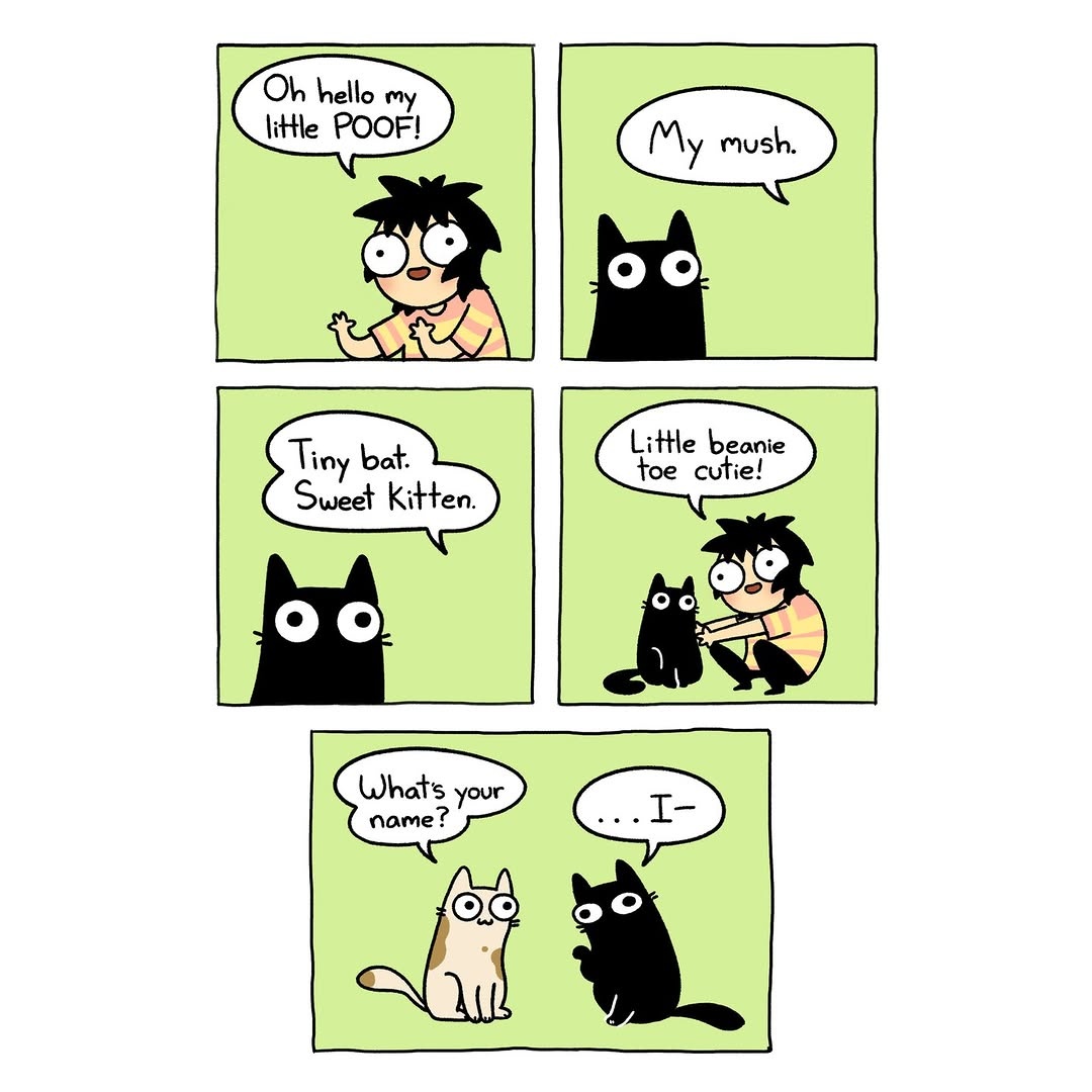 31959c42-ceba-4b2f-9f22-e333f8c2afd5