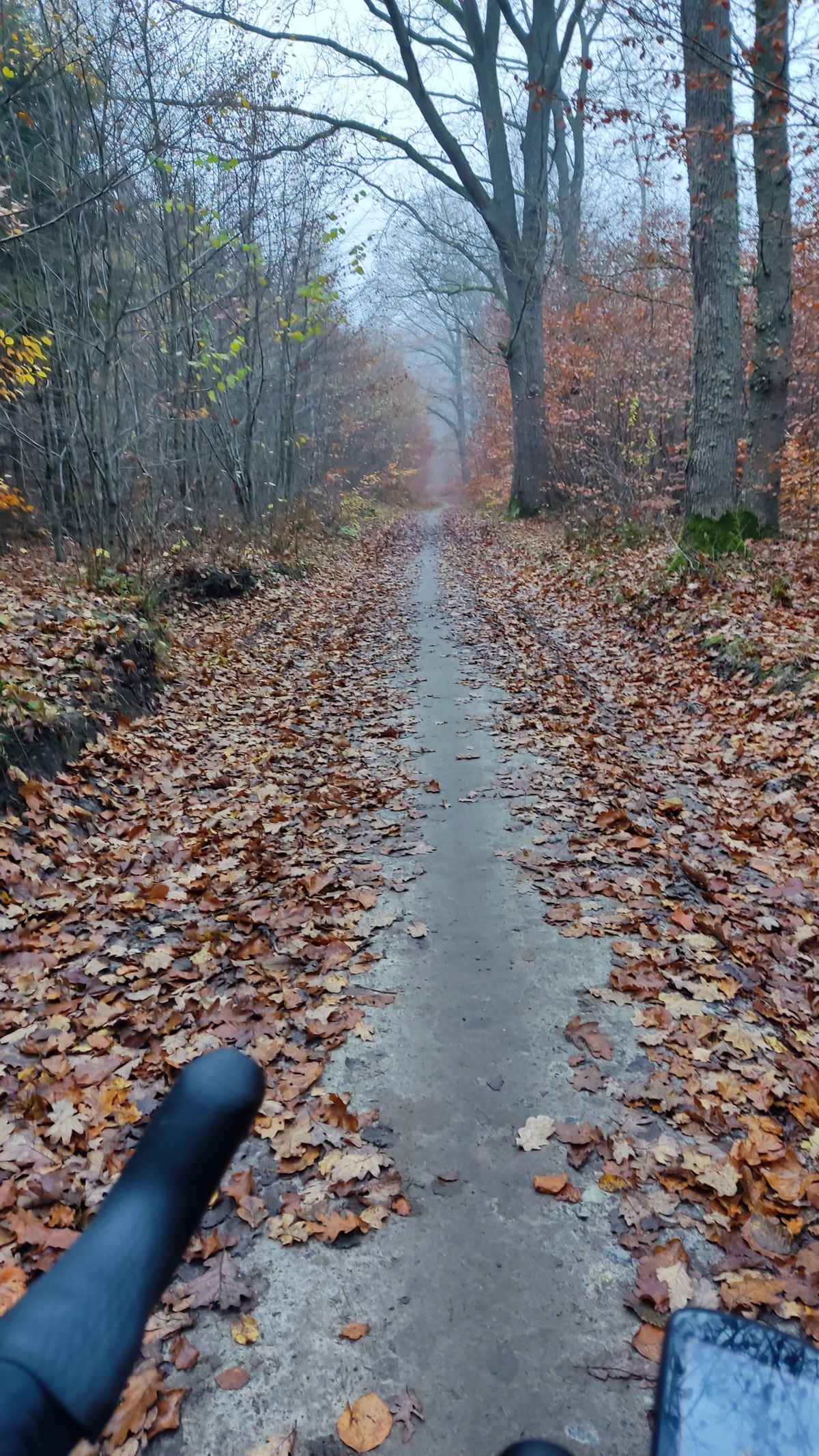 a14d3160-5f27-40ff-baa6-28b4a4d5acc8