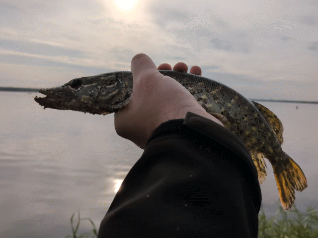 29ae6b85-44b9-4d9e-8979-8aa318fb2414