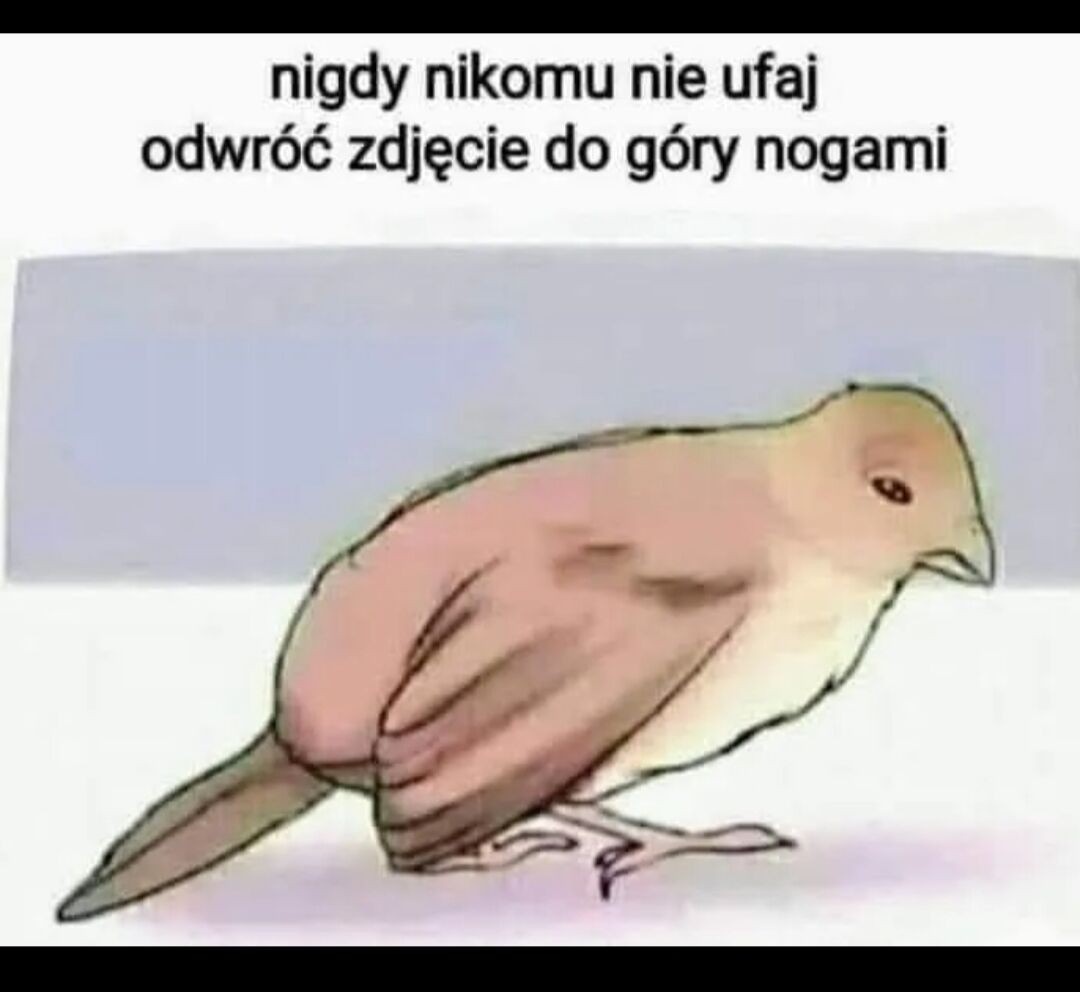 8a59e00c-2471-46af-9326-58c54c109aca