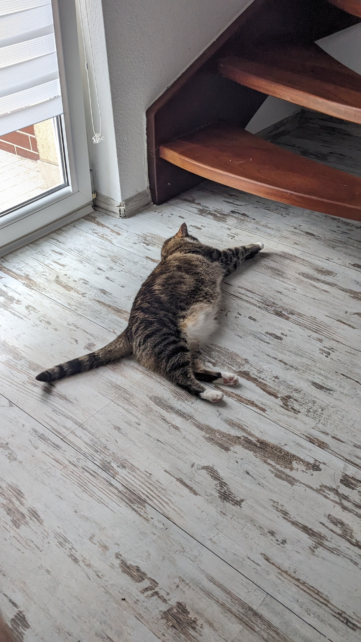 970aec11-07b0-4c4c-88dd-5138deb6b201