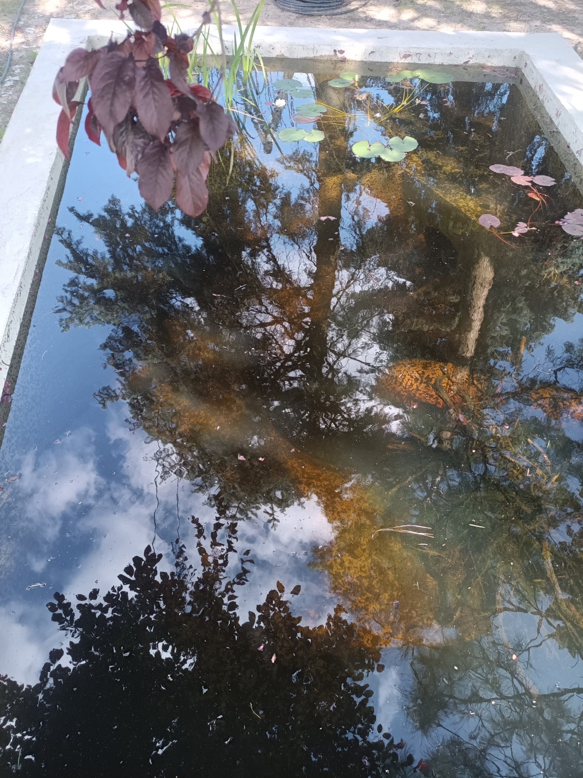 788207da-2f90-46a9-9a76-fdfd2e3ac207