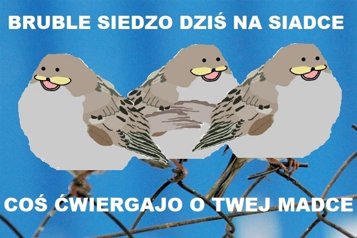 1e624180-375a-4f84-9fad-79751e3ab08a