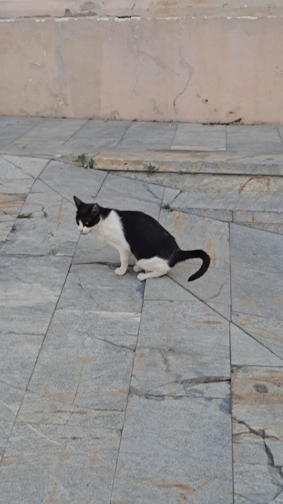 d49dc6e1-3451-4f58-af17-f206bc1fe10f