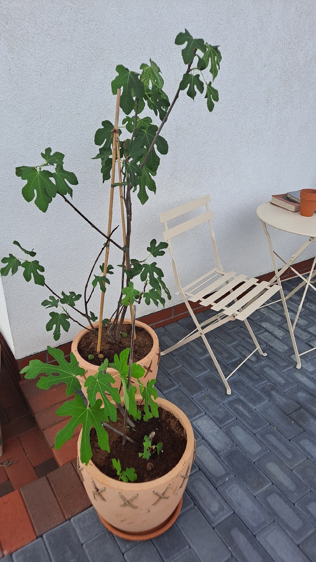 94a63513-567d-4a09-86c7-67dc42dbd7d6