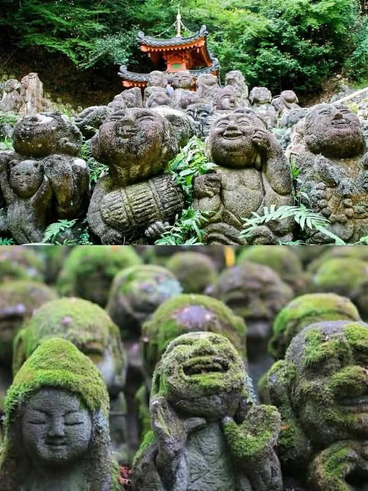 2b4c62f5-83c4-4cd2-801f-e15d4c58dc54