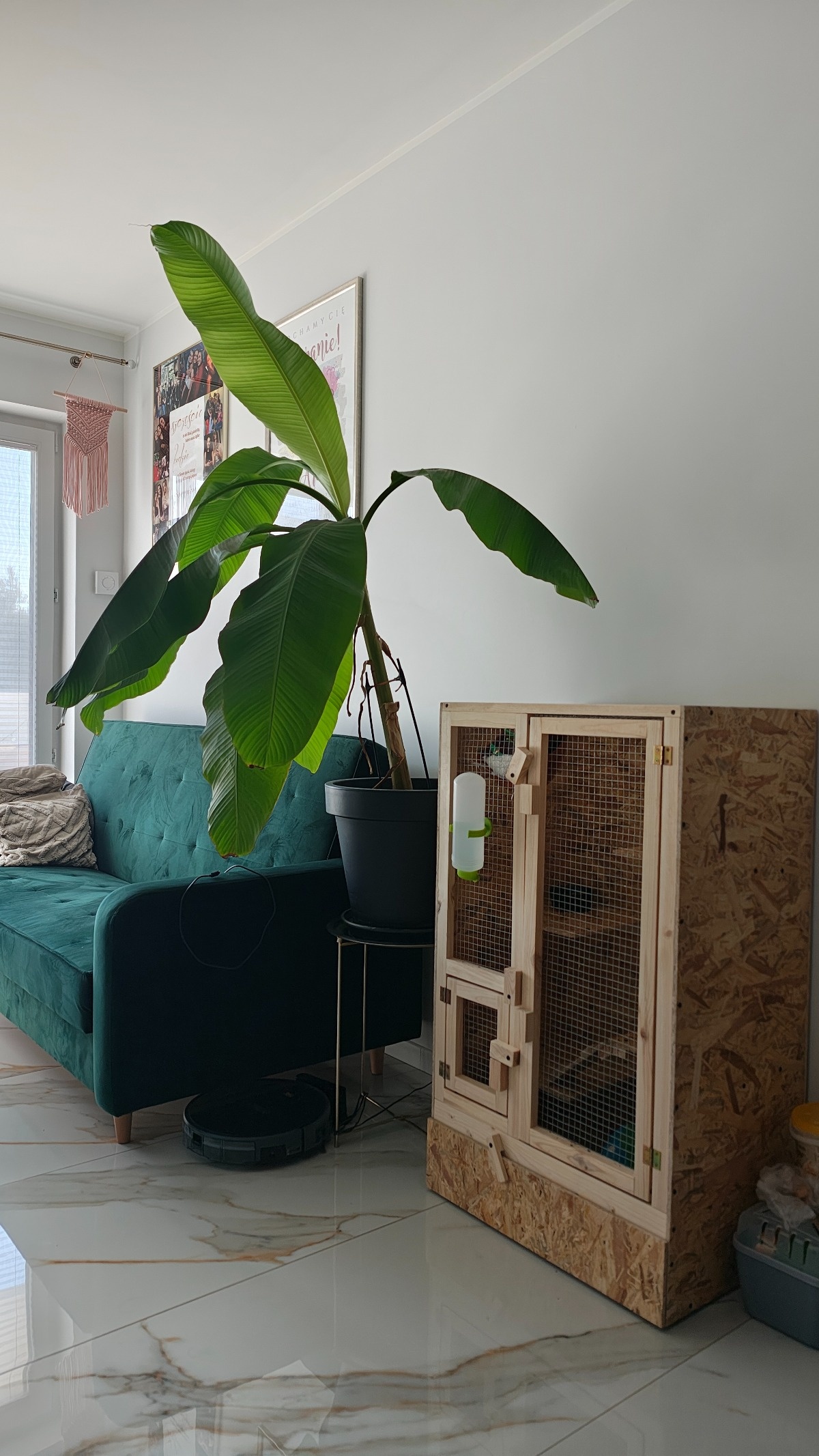 60af9fbc-ce70-4c45-98af-e871a01cdda6