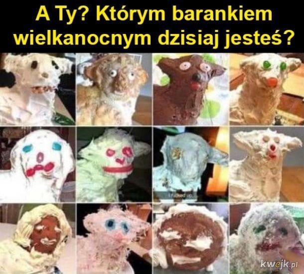 b431279d-9ac5-4672-ab92-69a1da0bdcf3