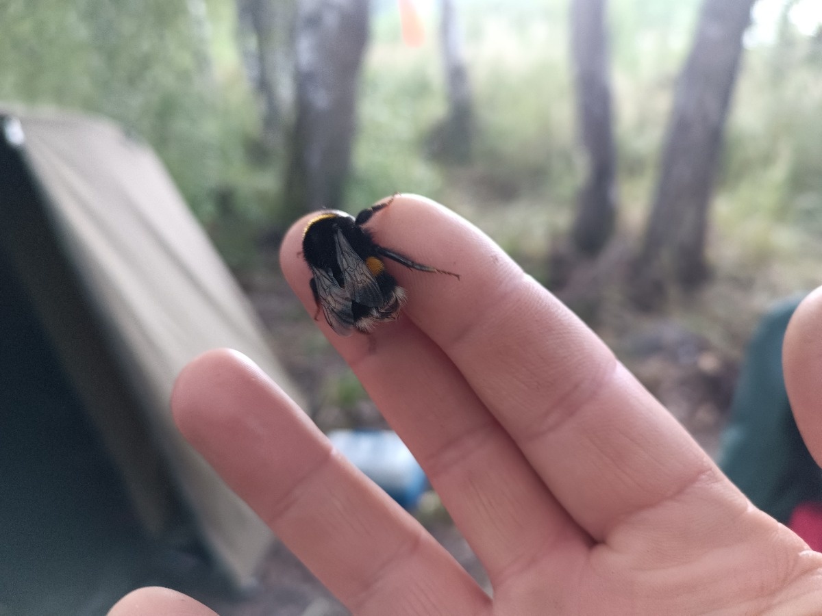 0fc2a802-b14e-4641-9dcc-338c2d866a2a