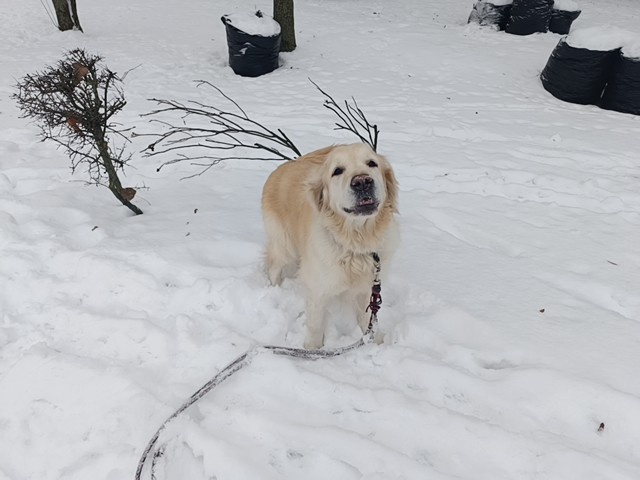 75f86299-ff4f-4538-814f-0a005d361952