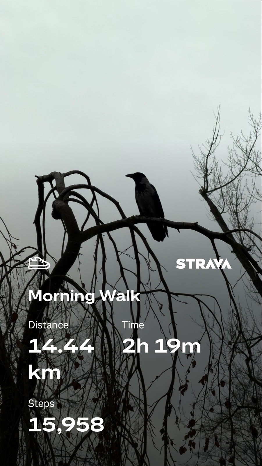 aa6faa2b-7cea-49aa-a3ea-2dc5c5964d3d