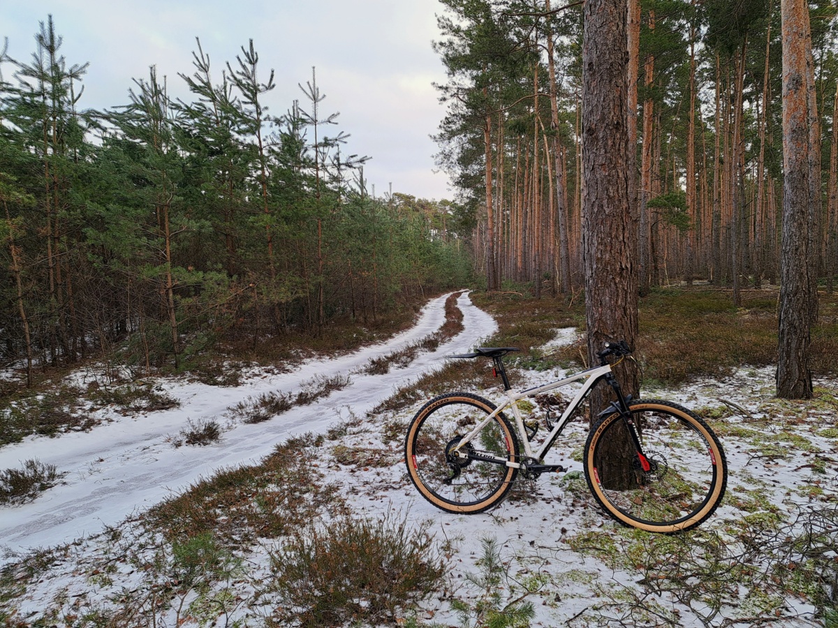 fda32209-afe8-4875-b65d-f344fd3625e1