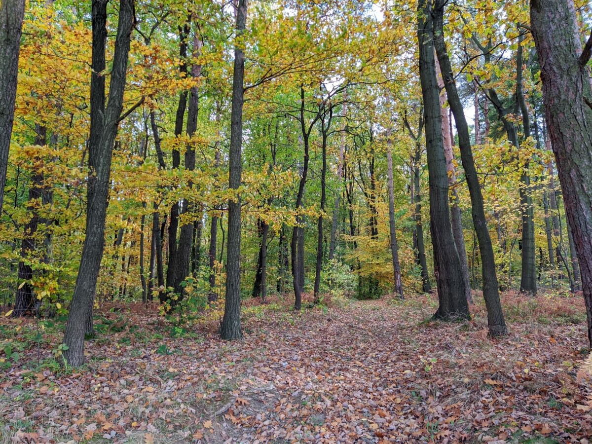 16087eba-85f9-4e85-bde9-528ed0a16eca