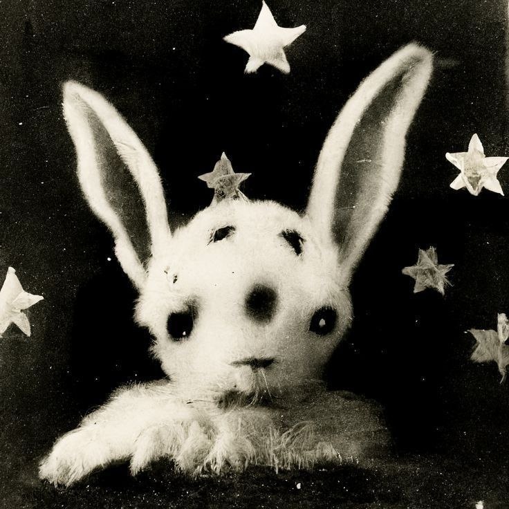 e667df10-e6ed-456d-96fe-e993f1a5b336