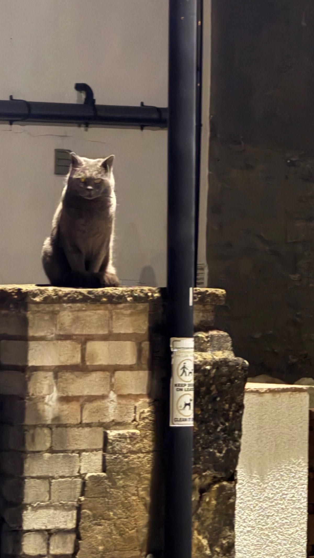 c161d552-3dbc-4b33-b11c-67dabadda1c2