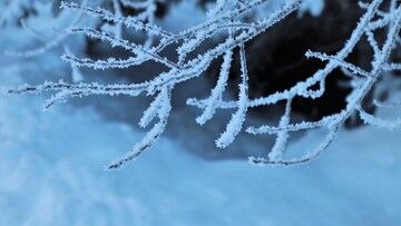 To była mroźna noc. Z niedzieli na poniedziałek temperatura spadła do -24 stopni