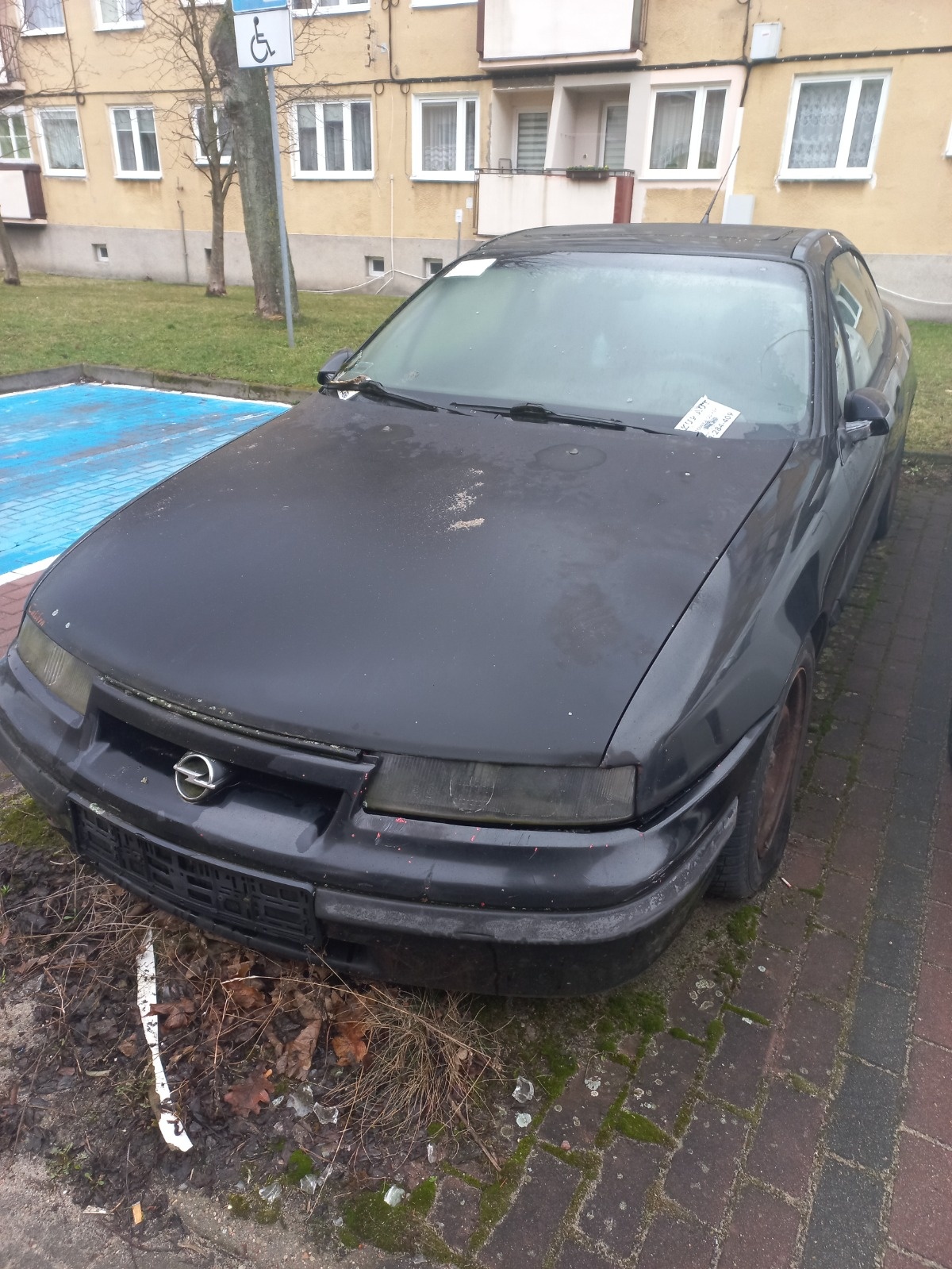 e2fb1c06-a456-42d2-ae73-3cdd84182f17