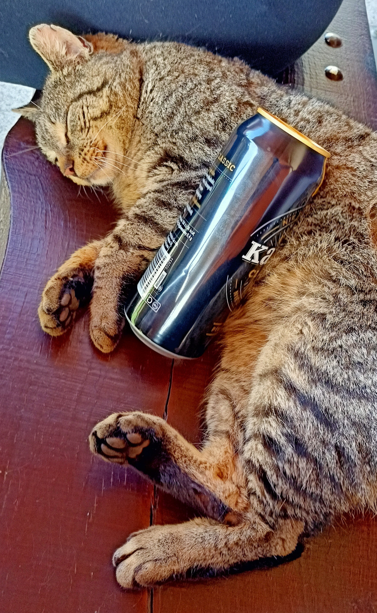 6bc42353-4821-4cff-b2a4-d2baea6f8fa9