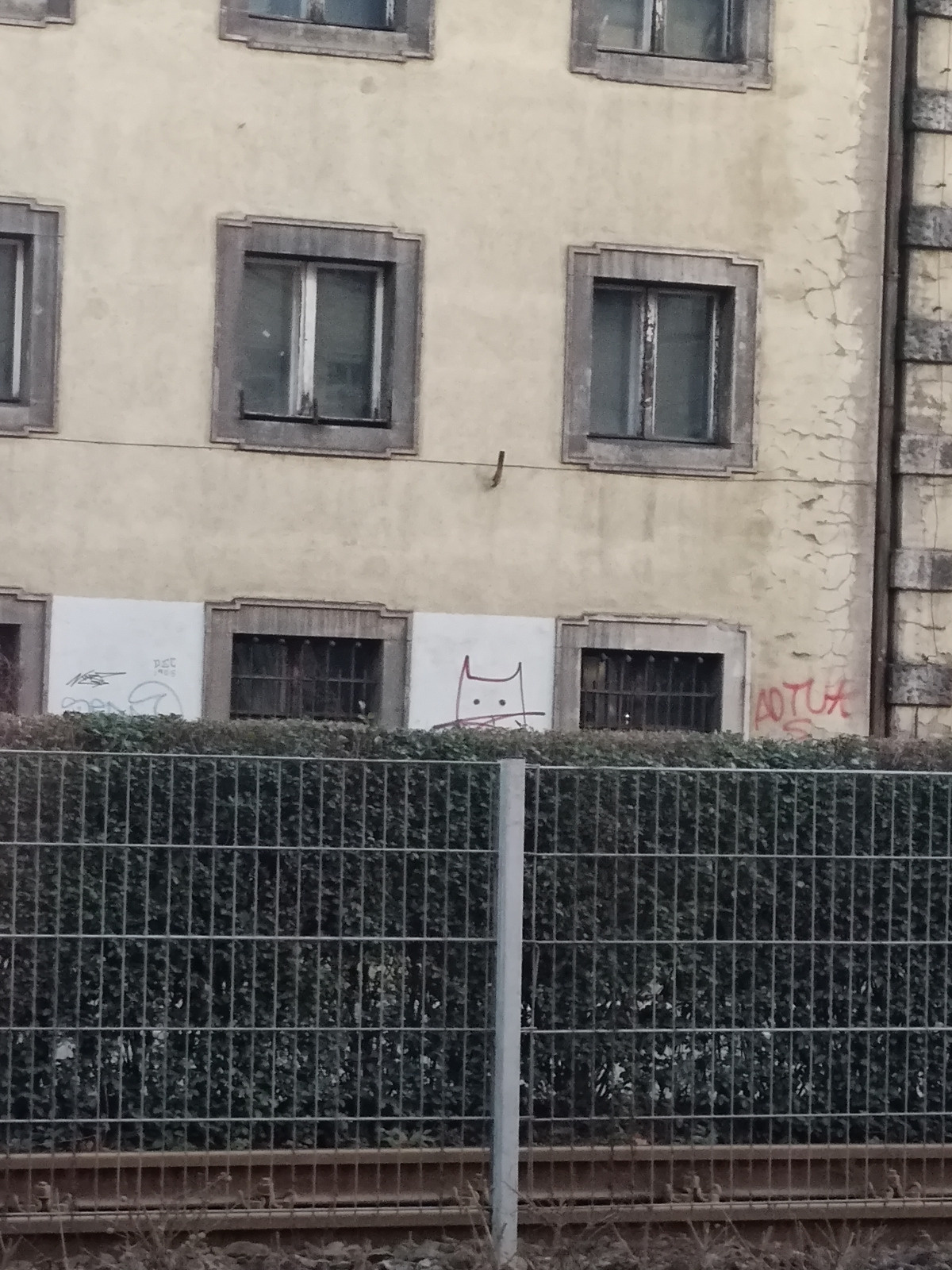 c47296e5-476d-4cff-869e-4138f9dfa9a6