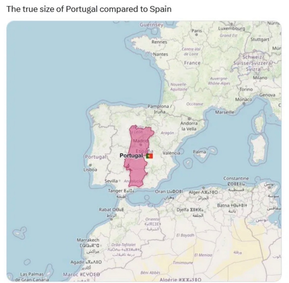 f50e992e-1cf1-4ec4-9c82-9fb4e04e58d2