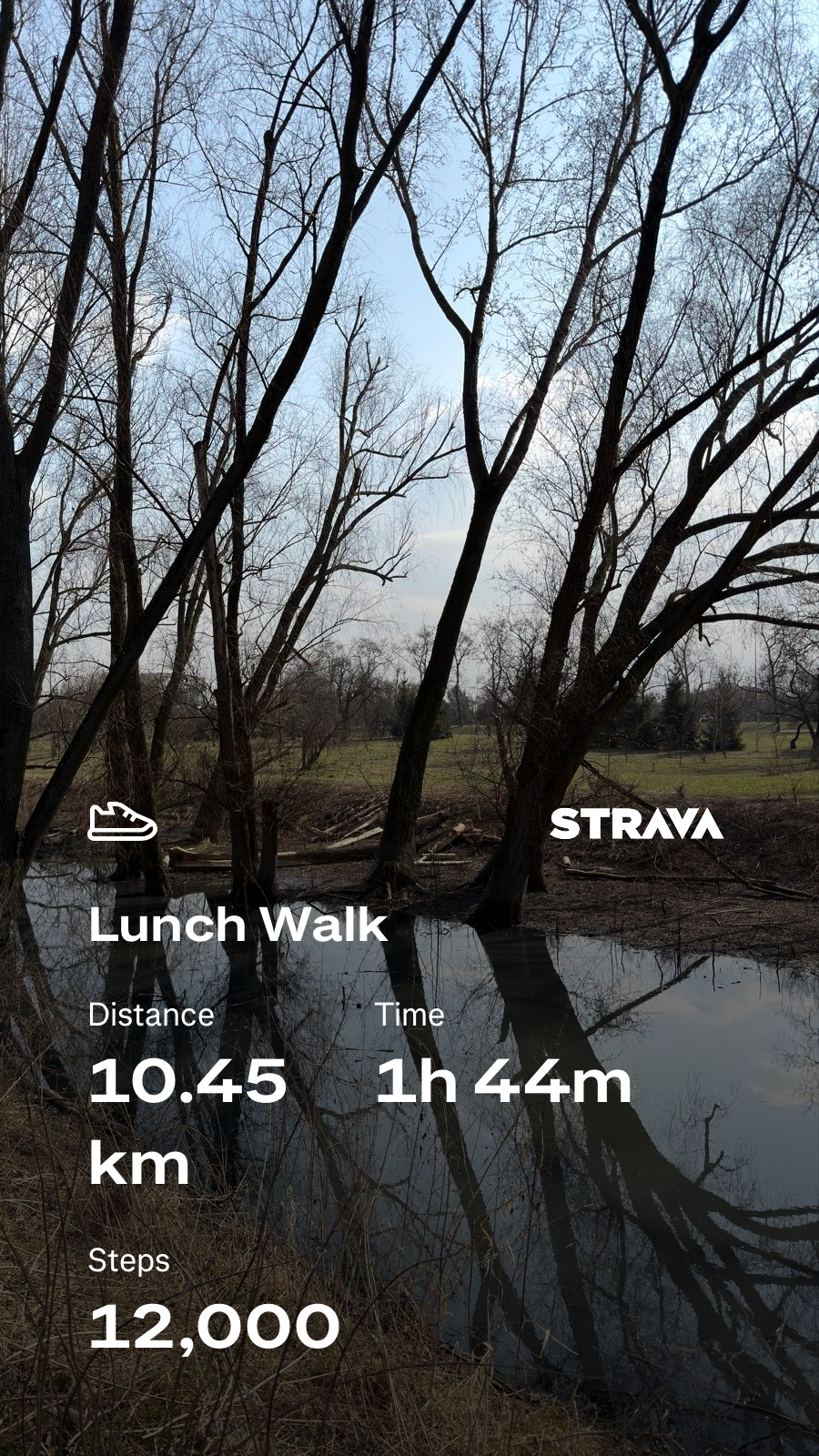 43e33a80-5eb6-4cb6-b4e3-47a29d30e9ea