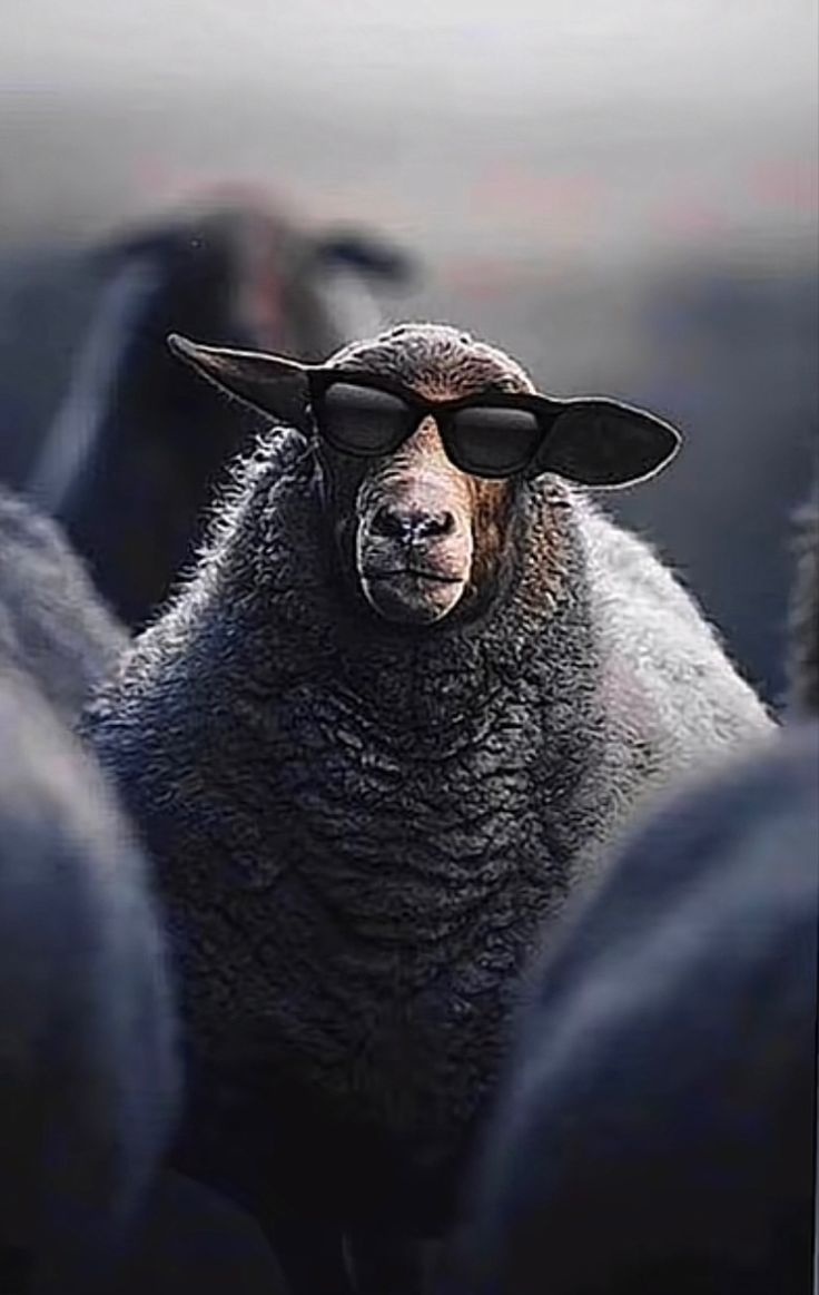 c09db48e-9450-489f-a35a-051b8eee45d3