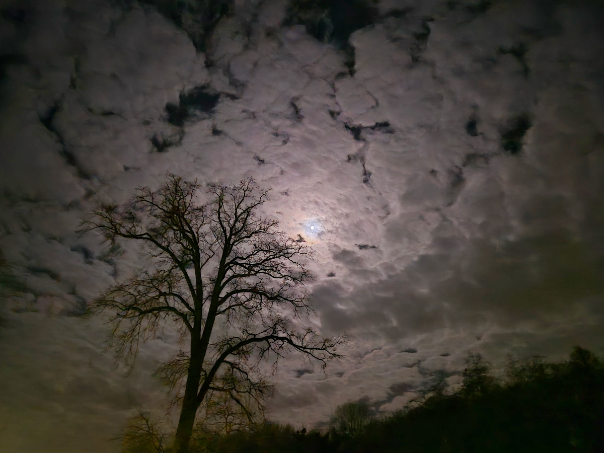 6bdaa0d8-09ac-4a0a-a914-271fea4b58e0