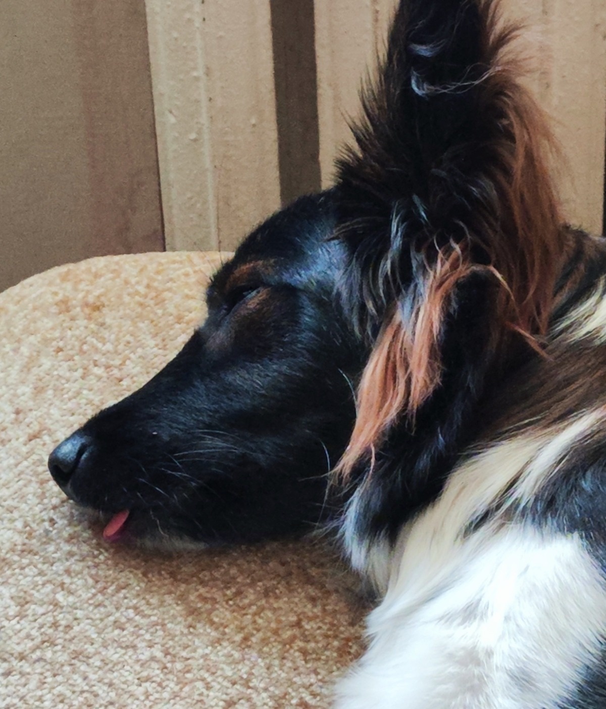 08c15143-3a87-4578-acbb-ef565a6ee0fb