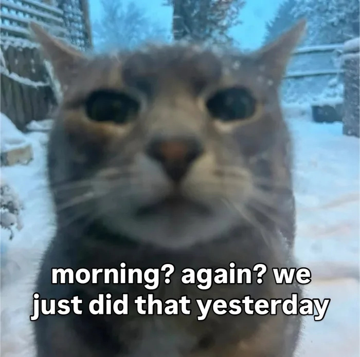 5350bcdc-46bf-4b93-a498-67966498d268