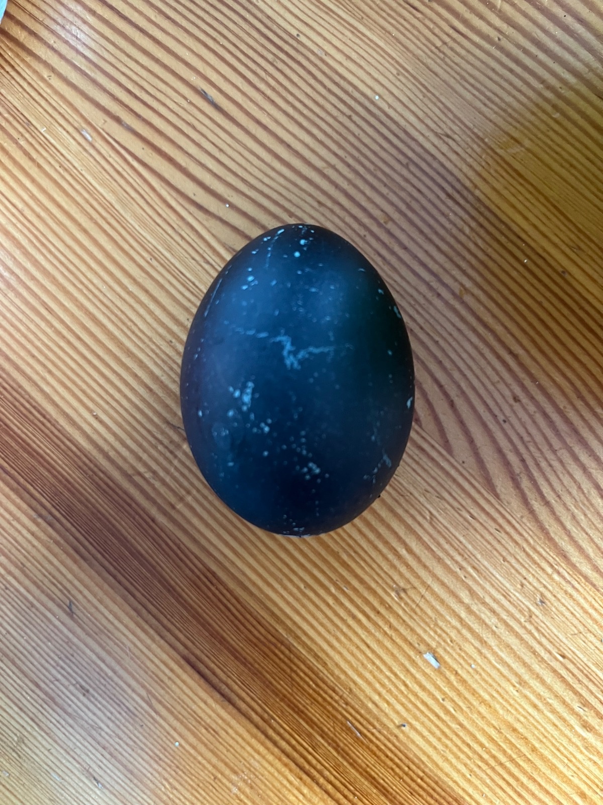 7cb69434-8946-47aa-a8f0-601c9feb625b