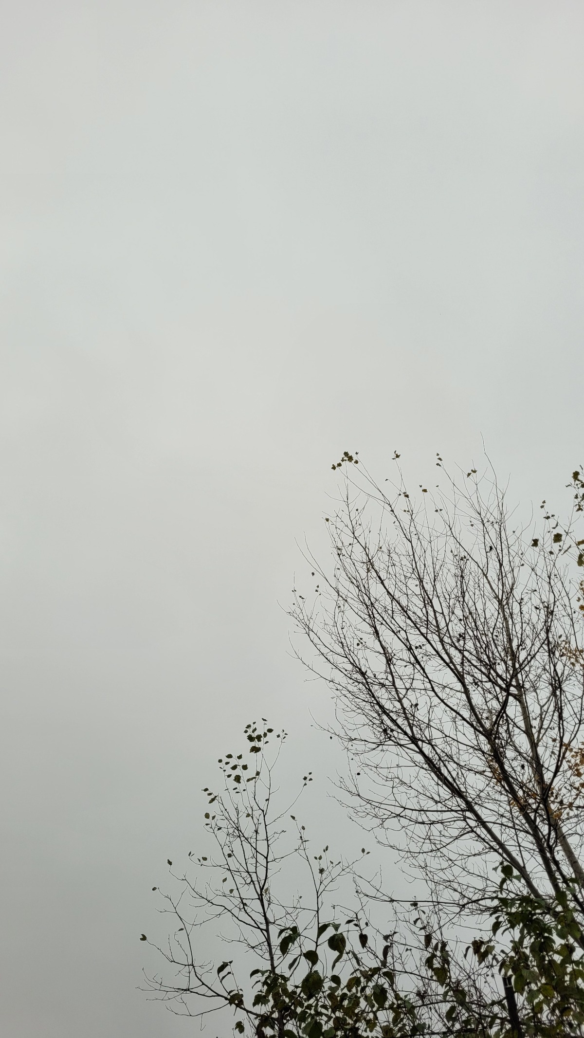 a7b29f55-e5d3-4866-a90f-47edb748f5fa