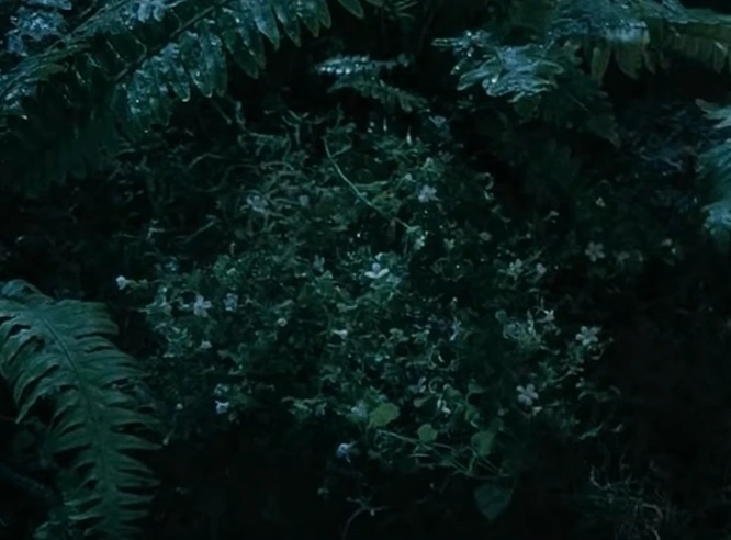 fc4c5057-3edf-4541-bfce-8aaaa38c0918