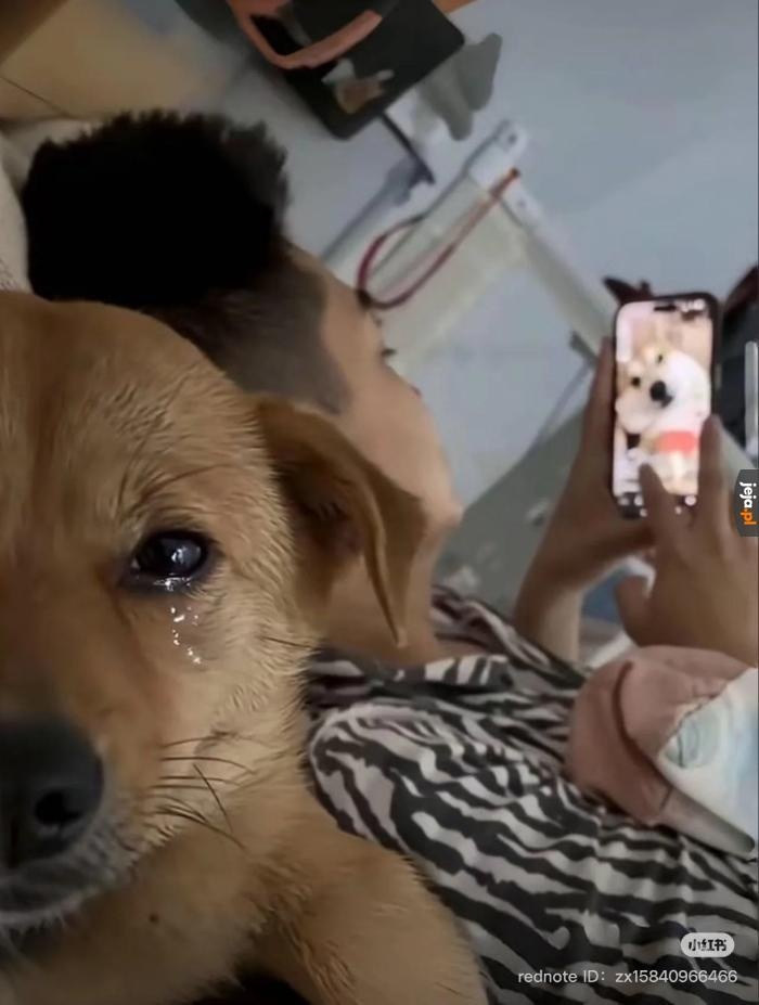 60a579c2-1a95-4d8d-b1dc-69ea2a046691