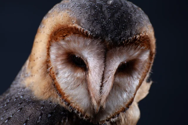 29d02c35-a57e-495c-94e0-15ca38b04be3