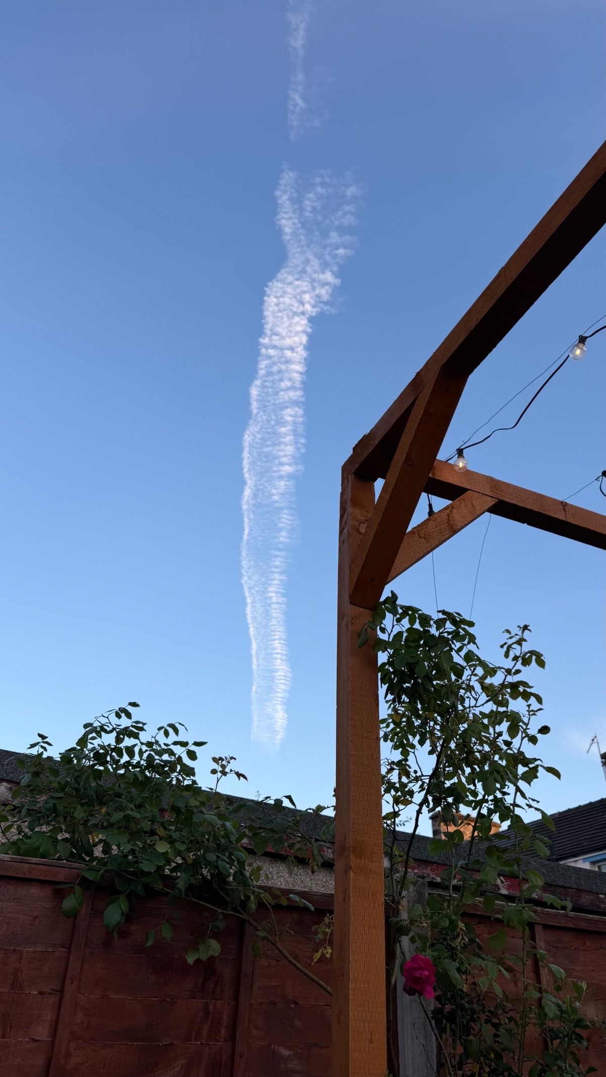 b12a2fe2-2bbb-4317-ba4f-5c2197f37b49