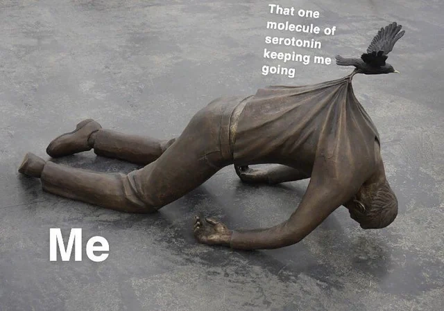 fba53004-4097-47bc-9a11-b0b5cfc92557