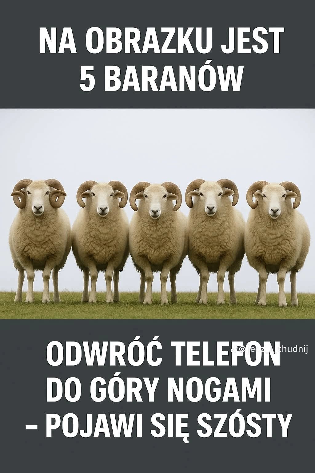 f3ee1521-3eab-4724-b5db-9be30d735993