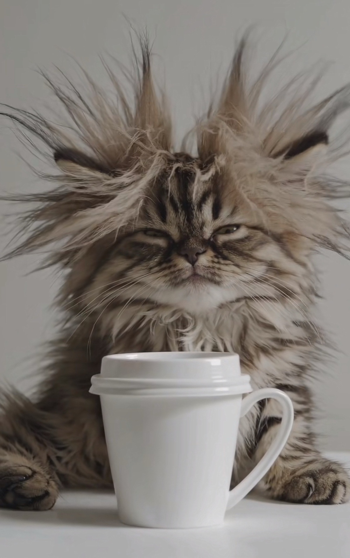 fdc3a38b-0289-4977-9ab2-b8a445778be4