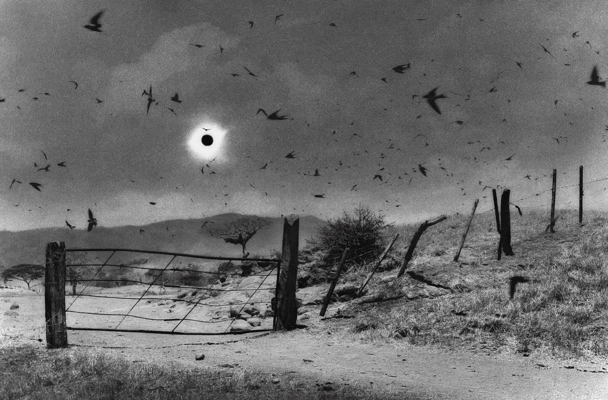 2808d127-b32b-4b23-b2ad-e299753e854f