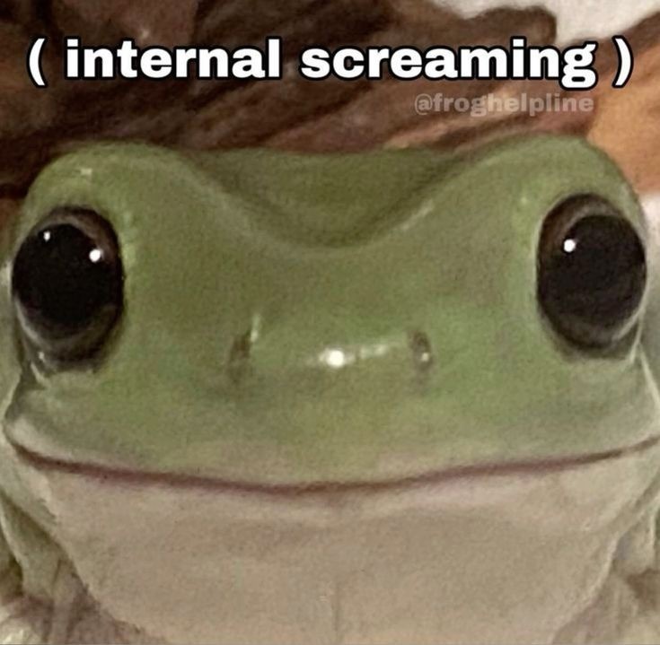 7ed06b3f-b924-4164-8513-36874840f7da