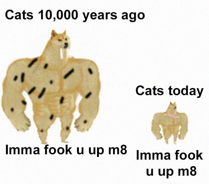 ffe1796b-5256-4fb3-bb58-ccf8efe85376