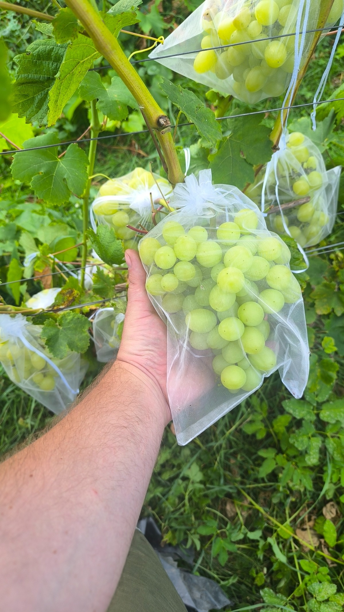 5a0f1073-7ad4-4342-ba81-c280407addd1