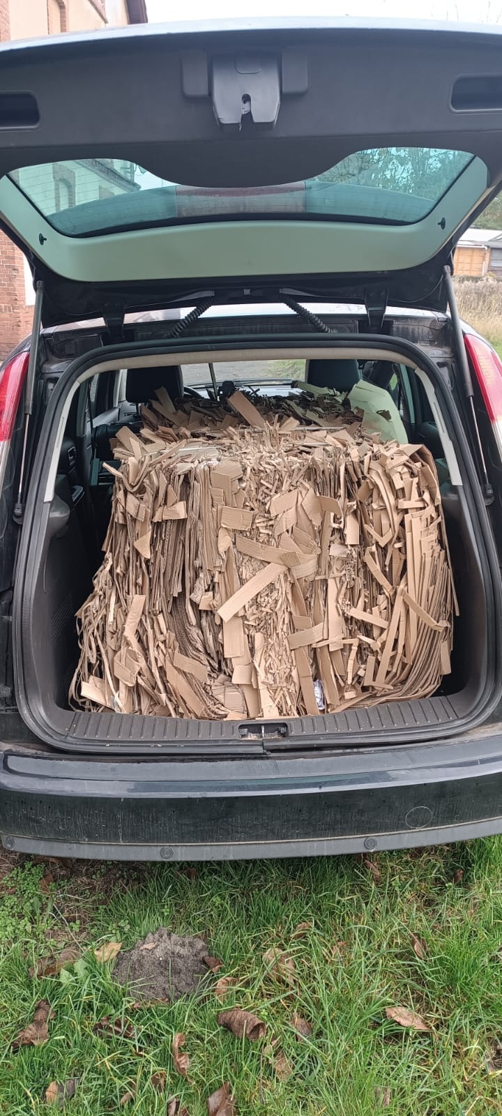 a74db036-225f-440e-9713-4696a200f21e